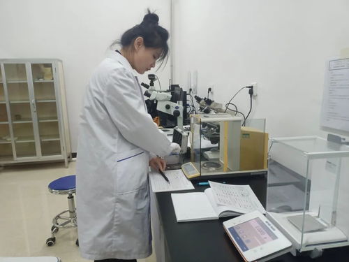 黑龍江省伊春市市場監管局舉辦2023年世界計量日信息技術咨詢服務活動